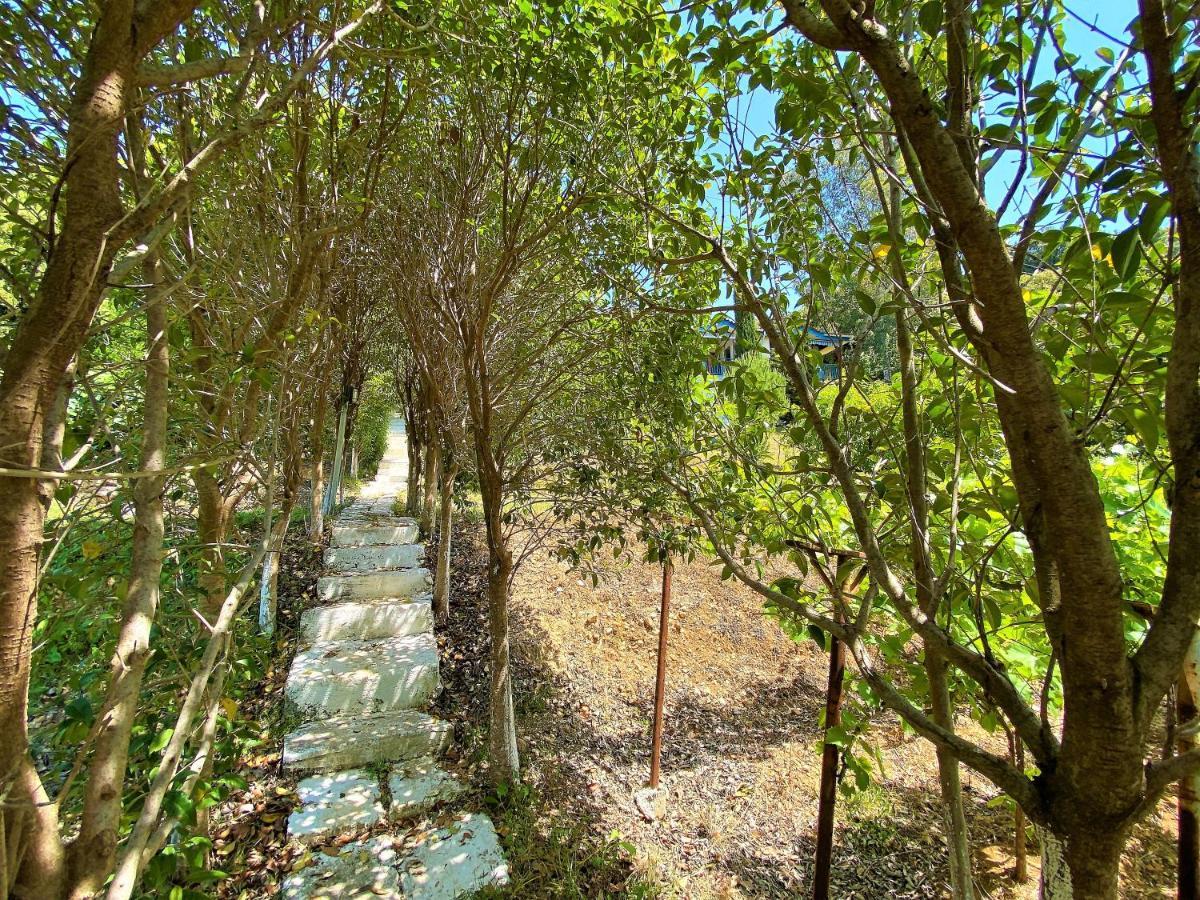 Ramo'S Green Beachside Retreat - Cozy 2 Bedroom Home Vlore Exterior photo