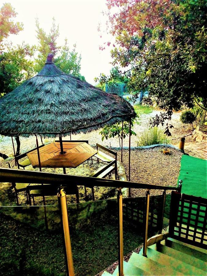 Ramo'S Green Beachside Retreat - Cozy 2 Bedroom Home Vlore Exterior photo
